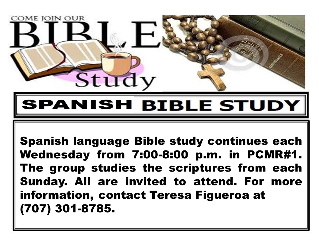 bible-study